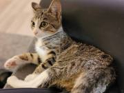 565137041_25334232916184826_4909415441434772405_n