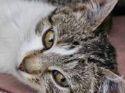 494580203_10215375075128173_2348407856320039130_n