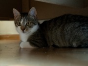 519610087_24158112870495073_7873112742865685206_n