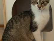 519885597_24158112697161757_4357264530152851018_n