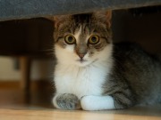 520195992_24158113467161680_8221118778404123888_n