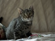 520861969_24602765759363113_5231113214863263668_n