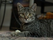 545128843_24602766149363074_7516611783691481530_n