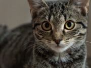 545251986_24602766579363031_1849665331154214660_n