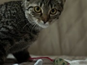 545601030_24602764982696524_3592904506701592643_n