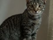 545798955_24602766386029717_1674518174050739088_n