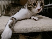 486133147_9675373102527178_6332601516353496104_n