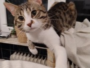 486299932_9682283351836153_8550391400650433966_n