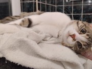 487077078_9675373369193818_6922322115203127786_n