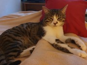 495700358_10025803504129782_8057372463729096454_n