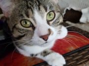 496231213_10025793024130830_8270309738352445383_n