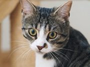 500102241_10233949163688598_7438334205397519414_n