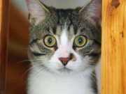 500418910_10233949163768600_2648445954311950289_n