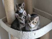 504379905_10215741553889913_4921048814270082430_n