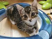 514335823_10215741556409976_7887555743654364321_n