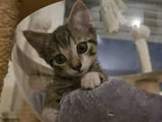 517116753_10215741553489903_5089961086790848577_n