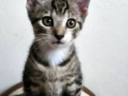 517601888_10215741550809836_7268531761565672308_n