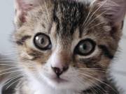 518446976_10215741552849887_8859076975047001887_n