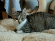 519674244_24158111877161839_3694830129173629813_n