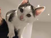 661468279_36008997718698906_2536676711203568346_n