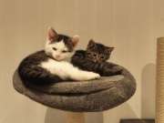 661597907_36008996965365648_3935503044796317029_n