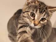 662530476_36008998892032122_2785414415331442961_n