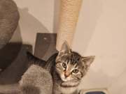 663010247_36008998362032175_5800898693763828606_n