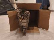 663124287_36008992232032788_660657704973811149_n