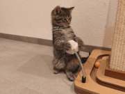 663259205_36008993972032614_5793173722526231690_n