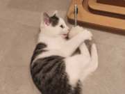 663335980_36008994568699221_2554781606335794526_n