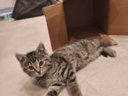 665873245_36008993338699344_7287679754161585003_n