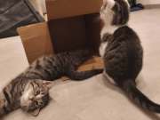 667824940_36009002778698400_278245578889215086_n