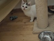 623408700_10217123890967476_5424574624827892279_n