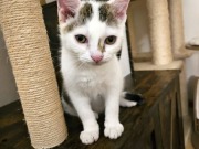 636800444_10217221774574505_7593415222609258694_n