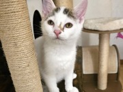 636889329_10217221775174520_1755721755370529287_n