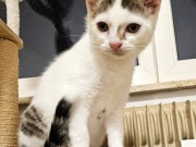 639846431_10217249740113626_4836281288876134233_n