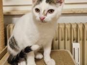 640381706_10217249740553637_5047840045355193631_n