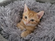 545192113_10213884766030850_4417137631367605378_n