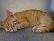 545404244_10213884764870821_6886574145296278983_n