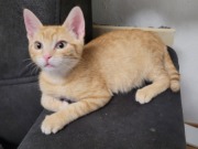 546753402_10214016393481454_7325091814790114262_n