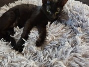 642237164_10215026047602176_3976149837851276430_n