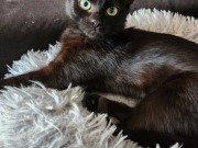 642242269_10215026043042062_6847375980079094561_n