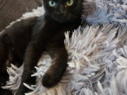 642321227_10215026047162165_8900252161412428719_n