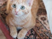 570140291_10236422756446871_8118857403702918306_n