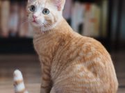 571199656_10236422755806855_263134695853906252_n