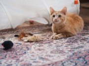 571294419_10236422756766879_3492294530904507124_n