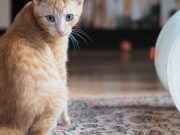 571341238_10236422755646851_8013513709115945742_n