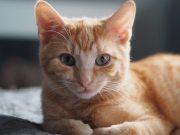 572171790_10236422897370394_2842248203711972122_n