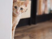 572484176_10236422897490397_4731837811543583071_n