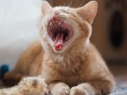 572784741_10236422756846881_4507000877415413062_n